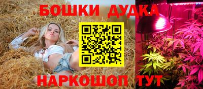 PSILOCYBIN Краснодар