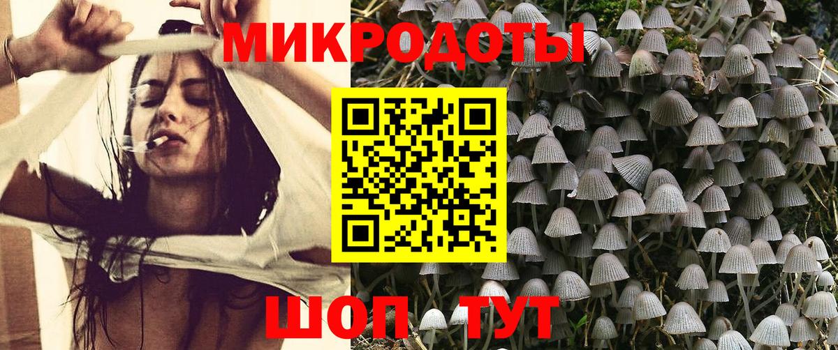 Галлюциногенные грибы мухоморы Унеча